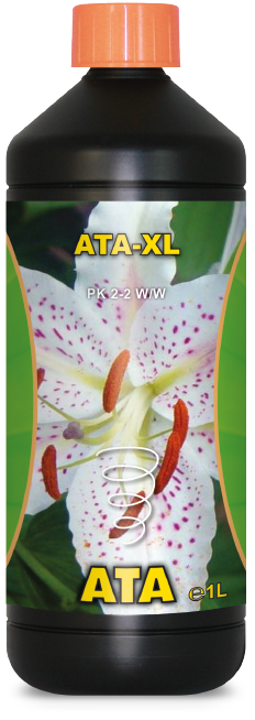 ATA - XL ATAMI 5L