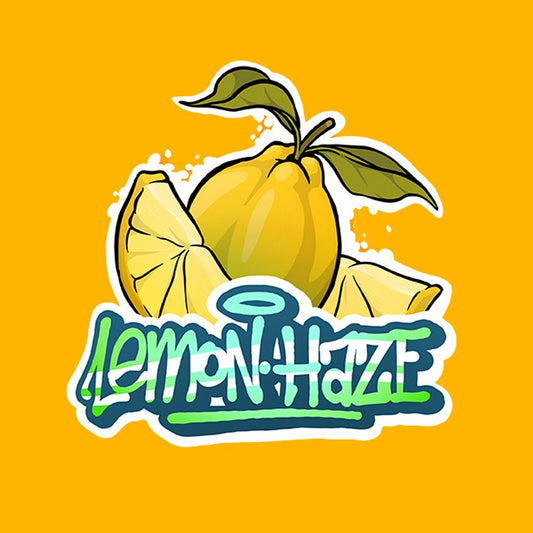 Lemon Haze - 25gr CBD GORILLA
